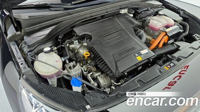 Hyundai Ioniq 2016 — photo 6