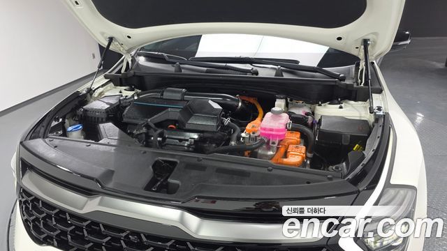 Kia Sportage 2023 — photo 6
