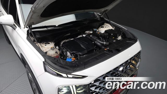 Hyundai Santafe 2021 — photo 6