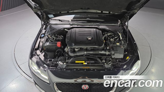 Jaguar XF 2017 — photo 6