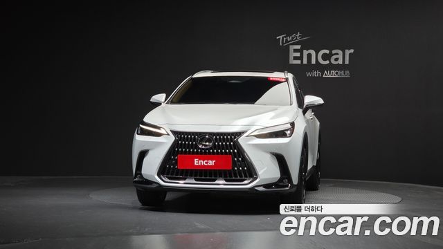 Lexus NX 2025 — photo 3