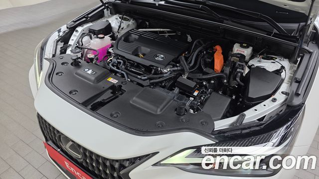 Lexus NX 2025 — photo 6