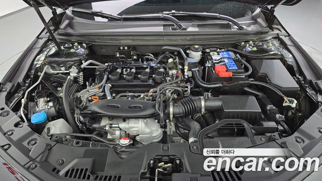 Honda Accord 2024 — photo 6