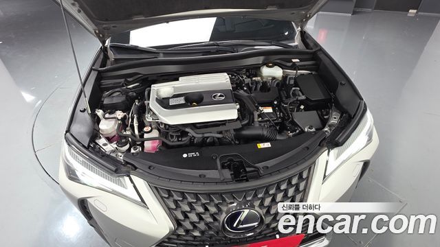 Lexus UX 2020 — photo 6
