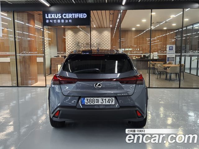 Lexus UX 2026 — photo 4
