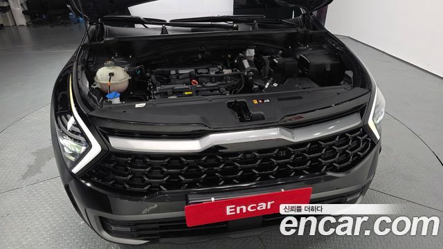 Kia Sportage 2024 — photo 6