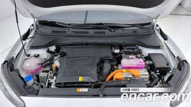 Hyundai Kona 2023 — photo 6