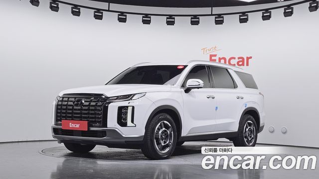 Hyundai Palisade 2024 — photo 1