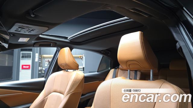 Toyota Camry 2025 — photo 23