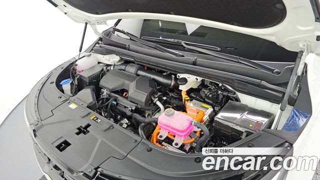 Kia Canival 2026 — photo 6