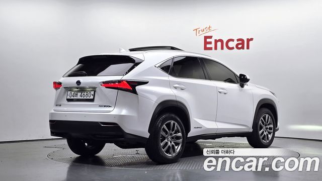 Lexus NX 2017 — photo 2