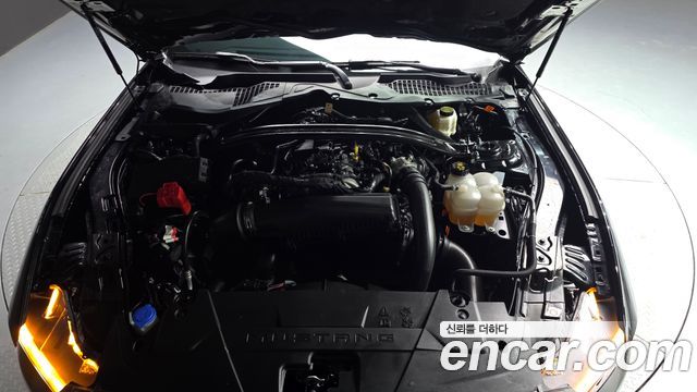 Ford Mustang 2024 — photo 6