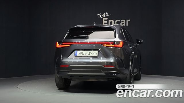 Lexus NX 2023 — photo 4