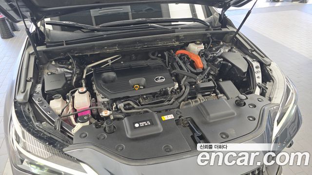 Lexus NX 2023 — photo 6