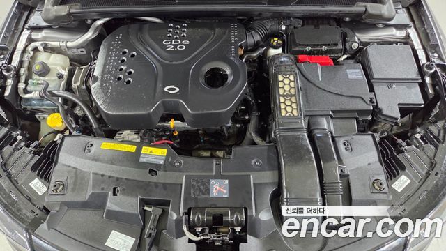 Renault Korea SM6 2016 — photo 19