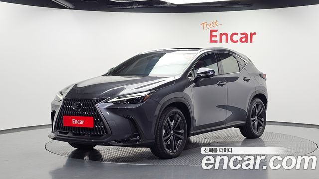 Lexus NX 2025 — photo 1