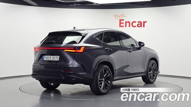 Lexus NX 2025 — photo 2