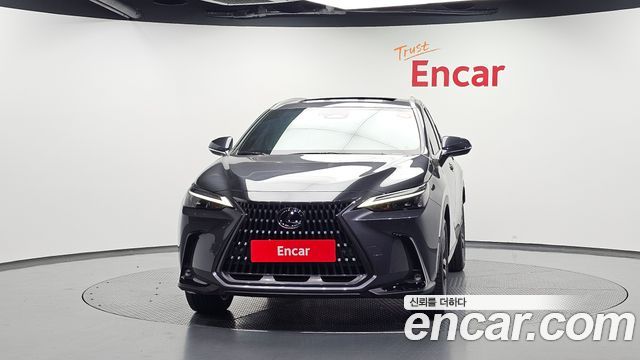 Lexus NX 2025 — photo 3