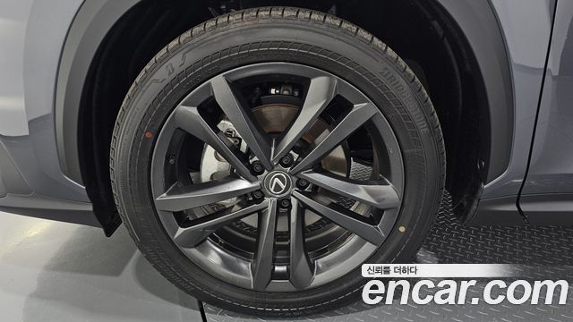 Lexus NX 2025 — photo 5