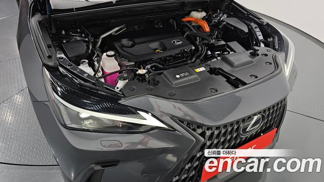 Lexus NX 2025 — photo 6