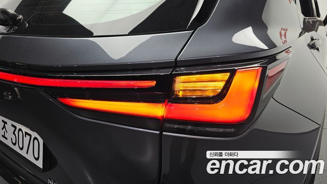 Lexus NX 2025 — photo 9