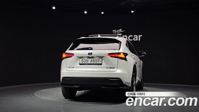 Lexus NX 2017 — photo 4