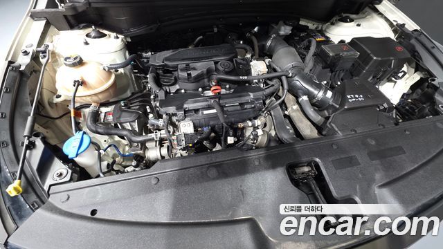 Kia Sportage 2022 — photo 6