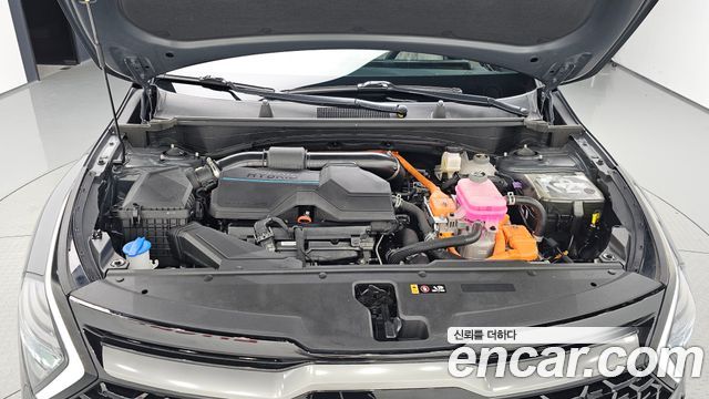 Kia Sportage 2023 — photo 6
