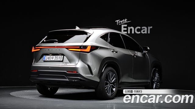 Lexus NX 2025 — photo 2