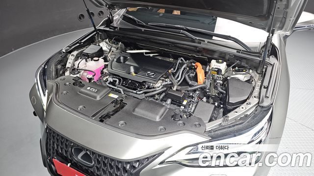 Lexus NX 2025 — photo 6