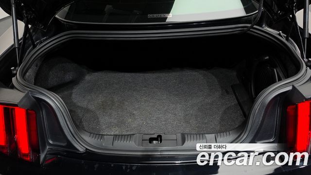 Ford Mustang 2016 — photo 19