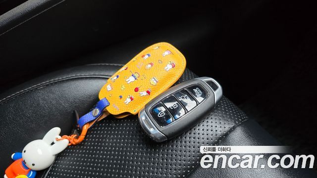 Hyundai Santafe 2019 — photo 23