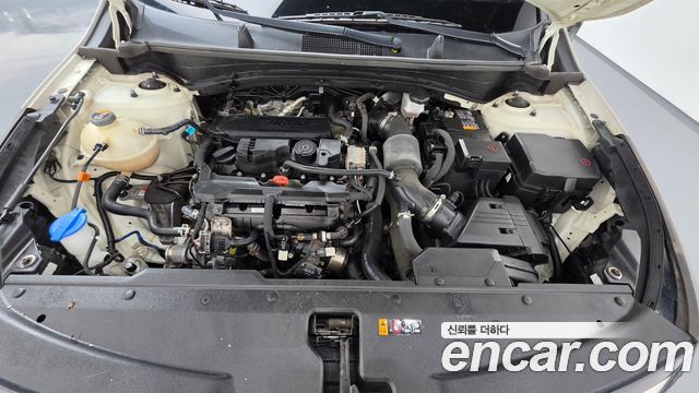Kia Sportage 2022 — photo 6