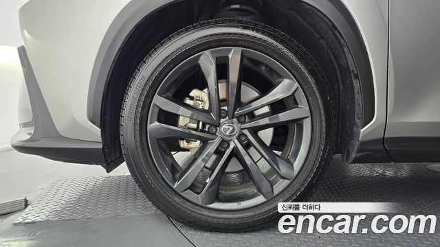 Lexus NX 2024 — photo 5