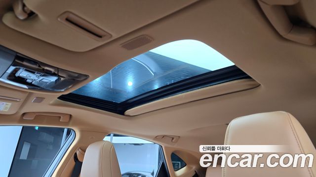 Lexus NX 2024 — photo 16