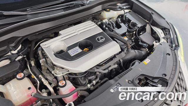 Lexus UX 2019 — photo 6