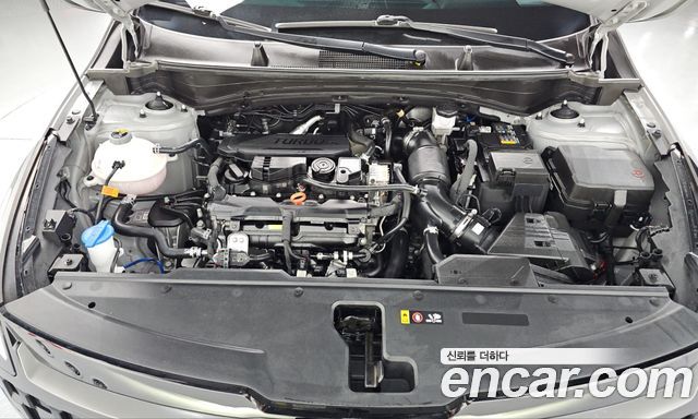 Kia Sportage 2025 — photo 6