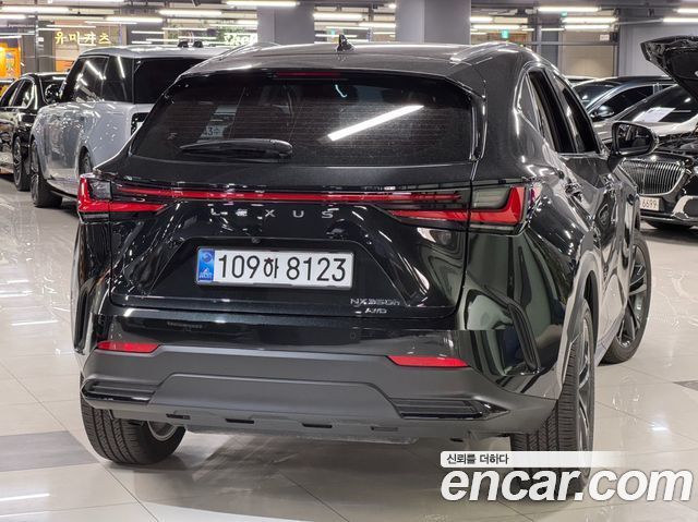 Lexus NX 2026 — photo 3
