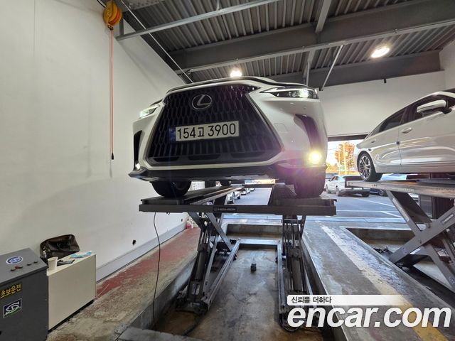 Lexus NX 2024 — photo 1