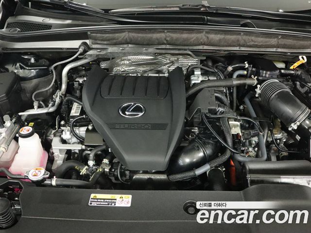 Lexus RX 2025 — photo 6