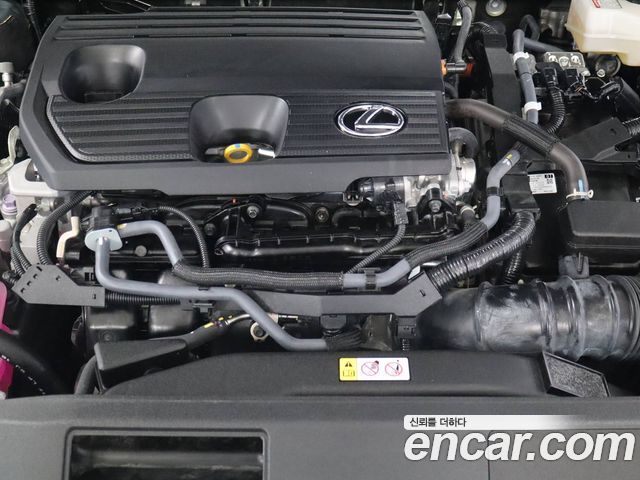 Lexus RX 2025 — photo 17
