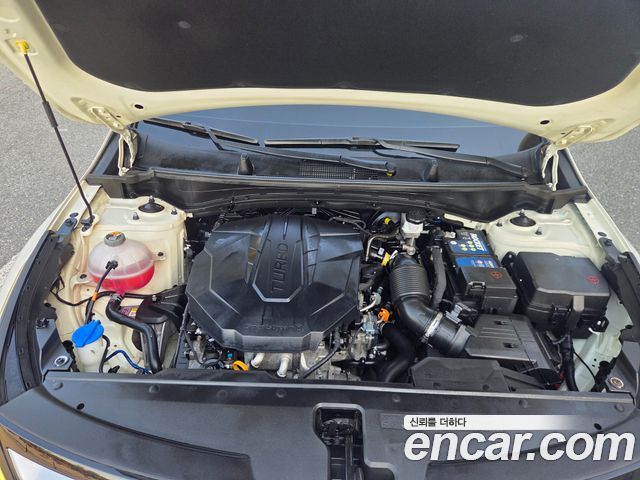 Kia Sportage 2022 — photo 6