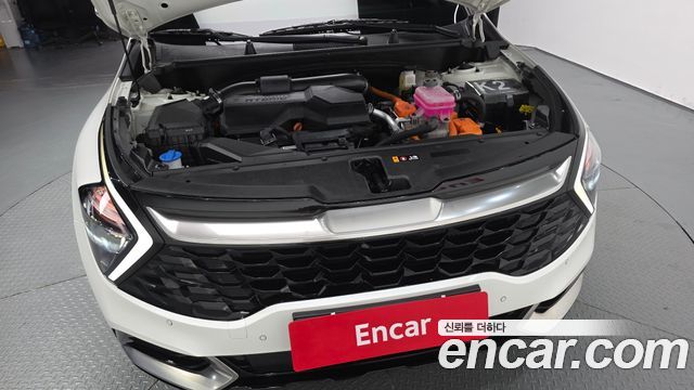 Kia Sportage 2024 — photo 6