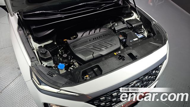 Hyundai Santafe 2019 — photo 6