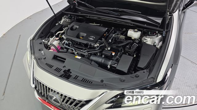 Lexus ES 2025 — photo 6
