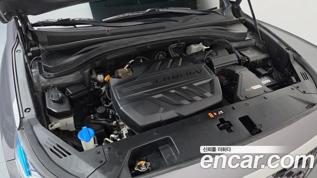 Hyundai Santafe 2019 — photo 6