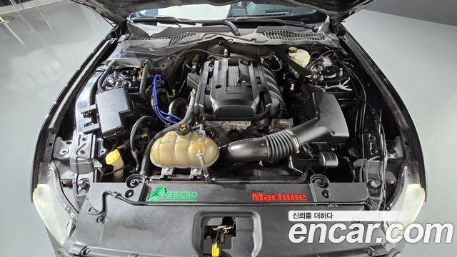 Ford Mustang 2017 — photo 6