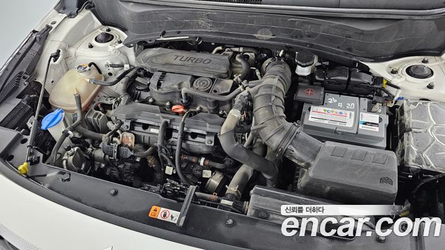 Kia Seltos 2023 — photo 6