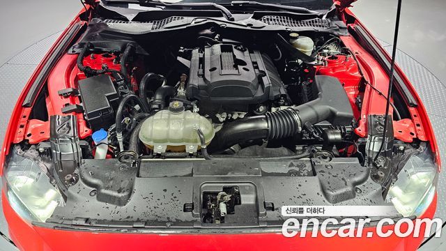 Ford Mustang 2021 — photo 6
