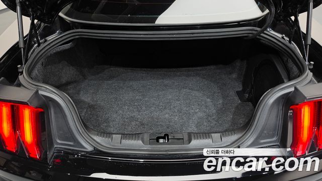 Ford Mustang 2019 — photo 25